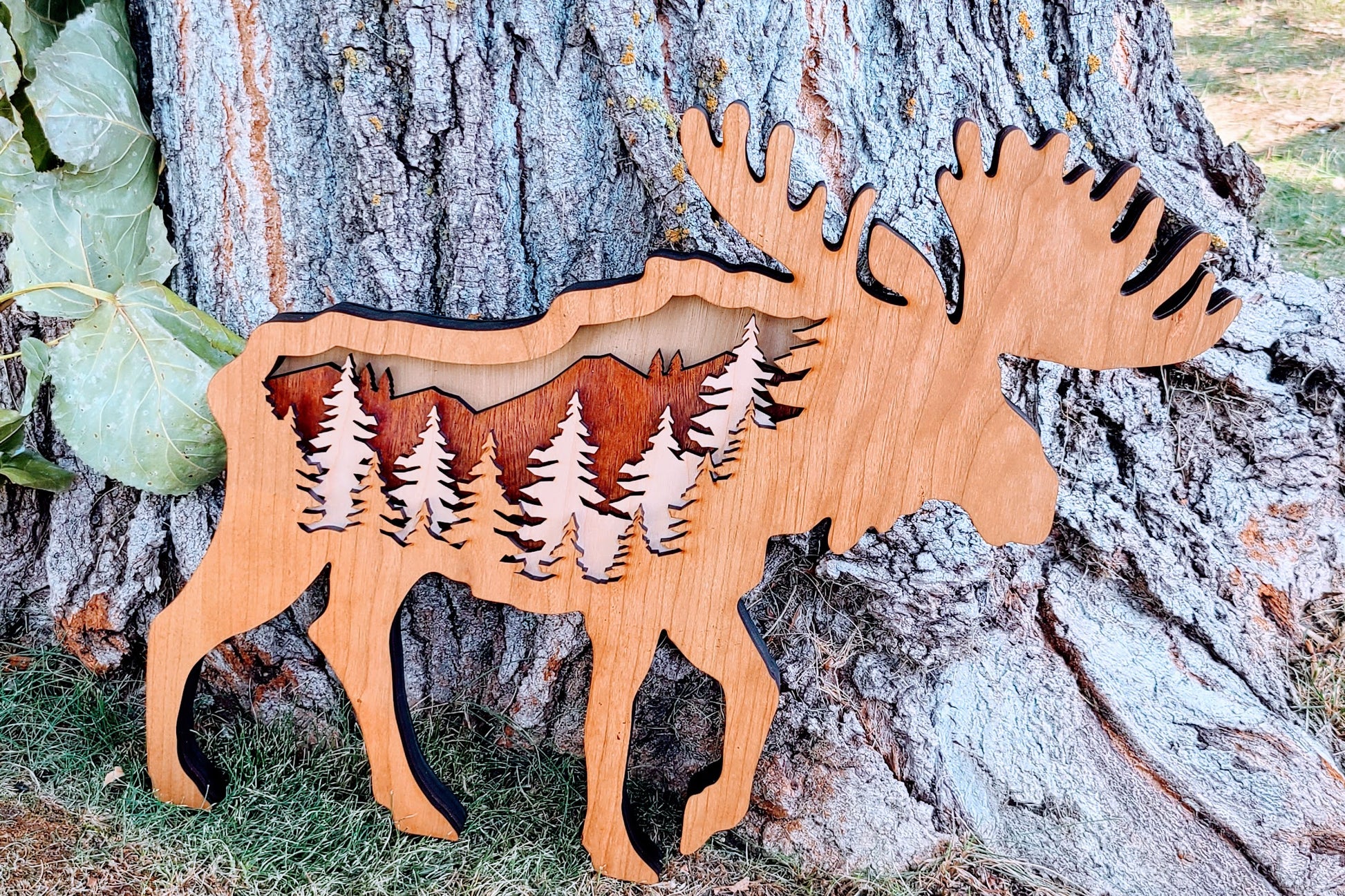Moose with Forest Scene