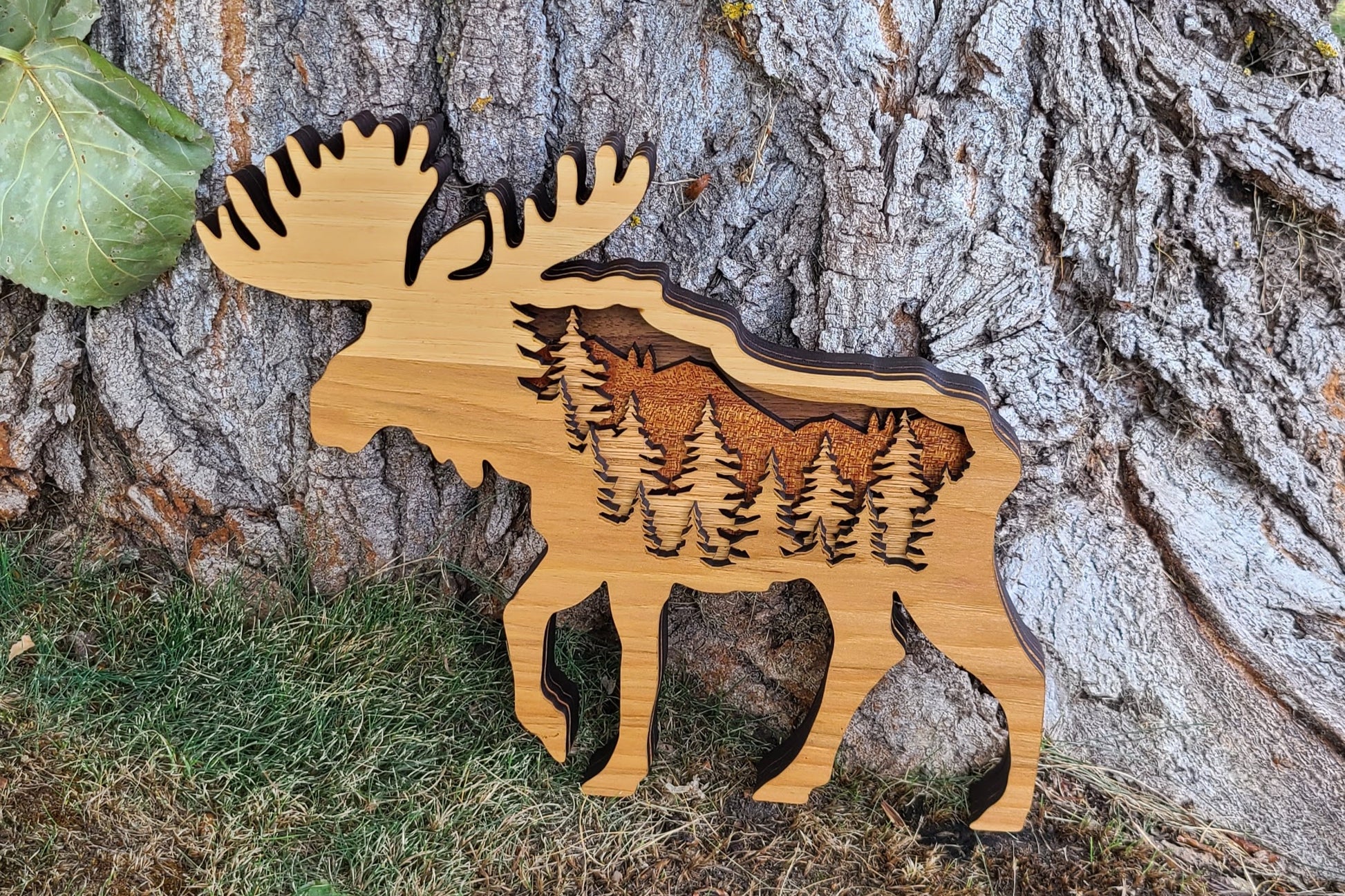 Moose with Forest Scene