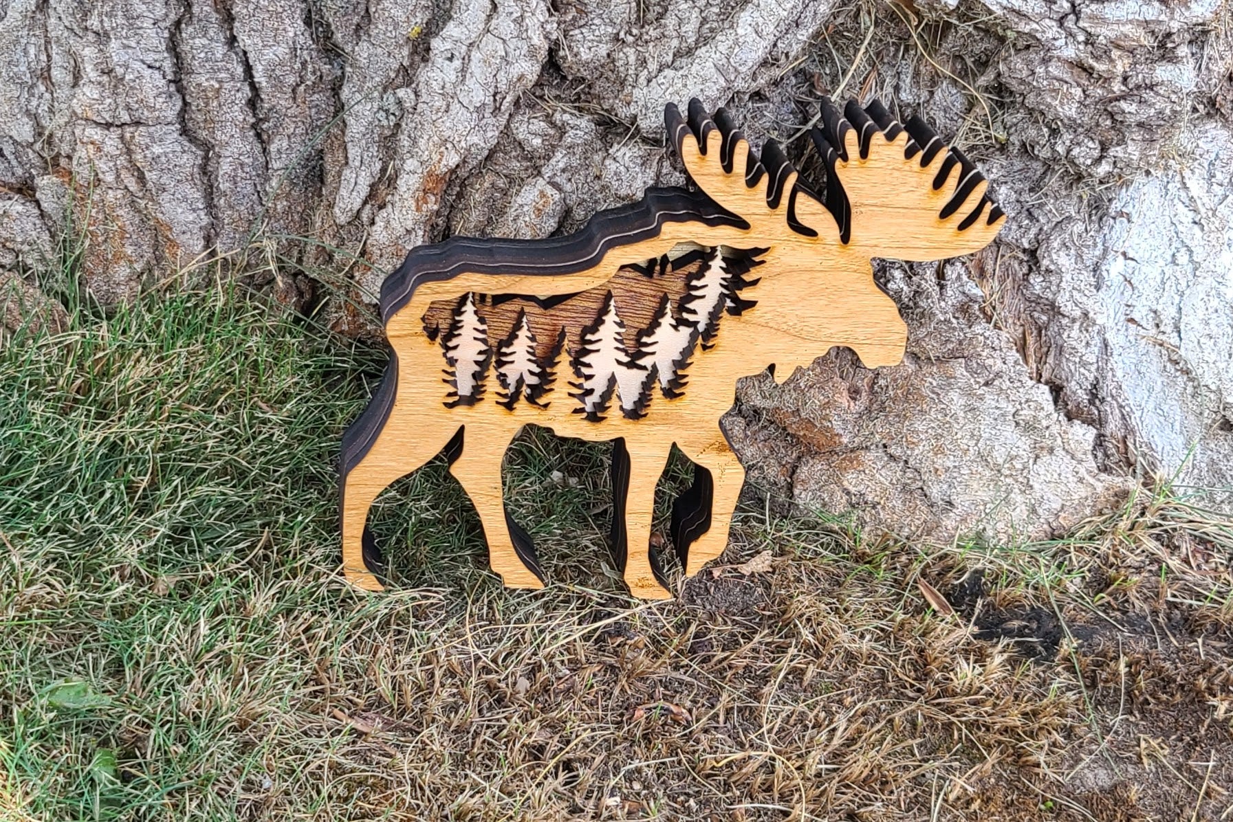 Moose with Forest Scene