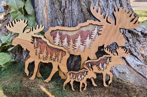 Moose with Forest Scene
